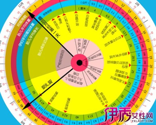 【圖】孕期怎麼算才準確 計算預產期的方法介紹