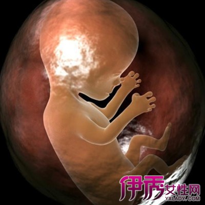 【图】展示怀孕宝宝在肚子里的位置示意图 揭