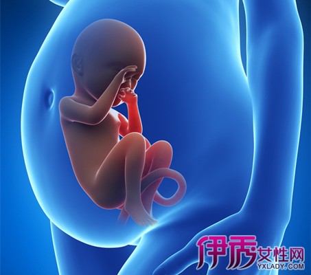 【图】怀孕三个月胎儿性别怎么判断 十个妙招