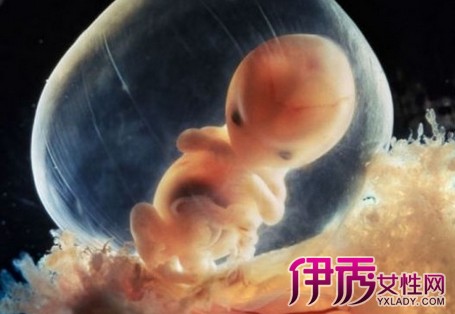 【孕晚期胎儿偏小怎么办】【图】孕晚期胎儿偏