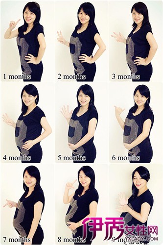 怀孕肚子变化图图片