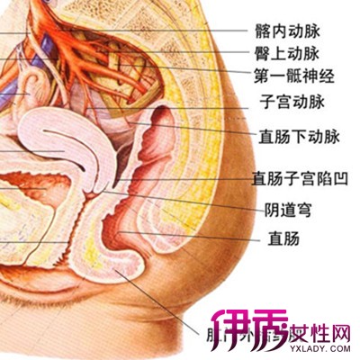 【图】展示产后子宫下垂的症状图 细数几个该病的治疗方法