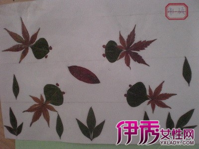 【图】儿童手工制作树叶贴画鉴赏 8个制作步骤