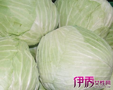 捲心菜,英文名:cabbage的原意是head