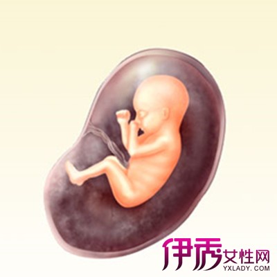 【图】图解十六周胎儿有多大 带你探索生命奥