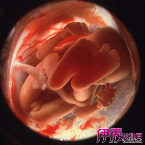 胎儿多大可以做亲子鉴定 胎儿亲子鉴定流程介绍