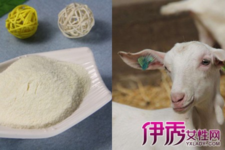 【羊奶粉和牛奶粉的区别】【图】婴儿羊奶粉和