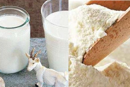 【羊奶粉】【图】羊奶粉和牛奶粉哪个好 了解