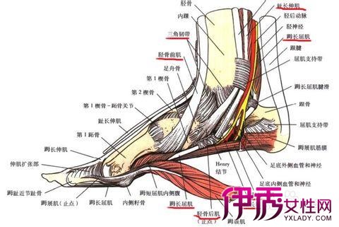 【图】应对前脚掌韧带拉伤 有效的4个方法