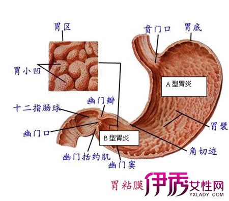 【图】胃窦糜烂的症状有哪些 4个明显的症状告诉大家