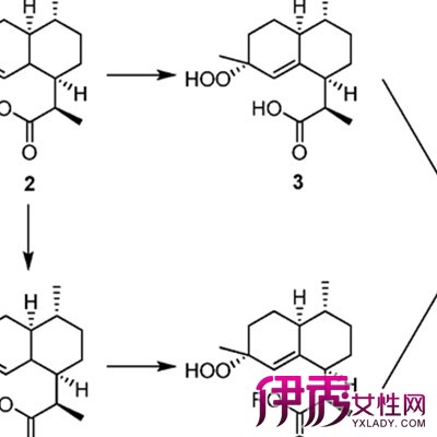 【青蒿素是什么】【图】青蒿素是什么? 