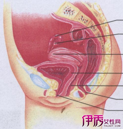 图 尿道炎会传染吗 知道真相的我眼泪掉下来