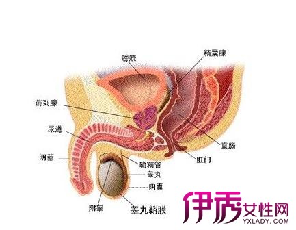 女性尿道癌的症状图片图片