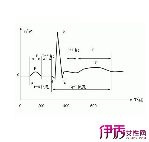 【图】正常心电图波形特点和正常值 不可不知的医学常识