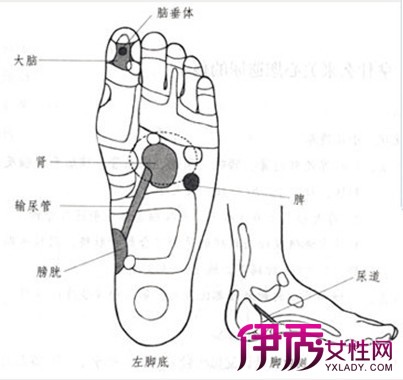 【圖】為何按摩大腳趾長高了好多 介紹其原理及其他增高方法