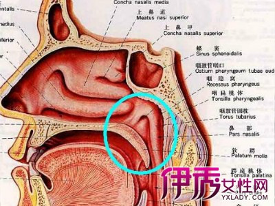 喉咙起泡怎么办 这些食疗方法你知道吗