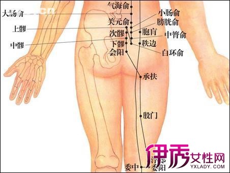 【图】臀部穴位位置图展示 准确按压为你