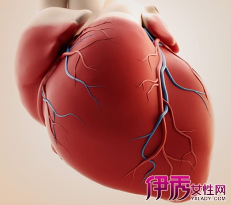 【心脏检查做什么项目最全面】【图】心脏检查