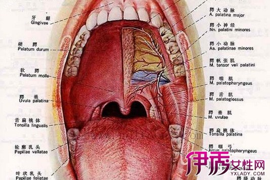 【圖】常見癌症的早期症狀有哪些 9種症狀讓你瞭解癌症