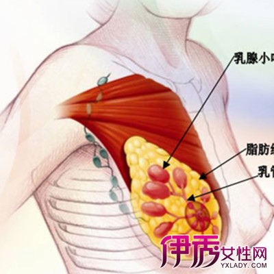 導致乳腺增生的原因