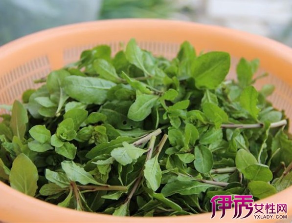 【图】枸杞子的嫩头怎么吃 教你食疗治愈这三