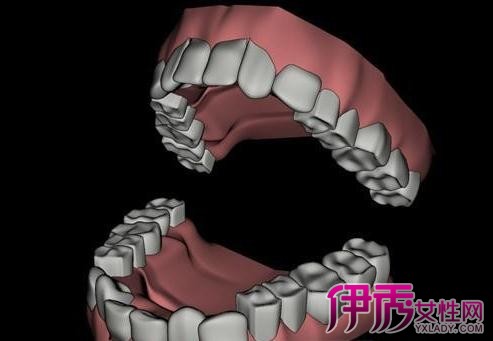 【图】人一共有多少颗牙齿 那么上牙和下牙一