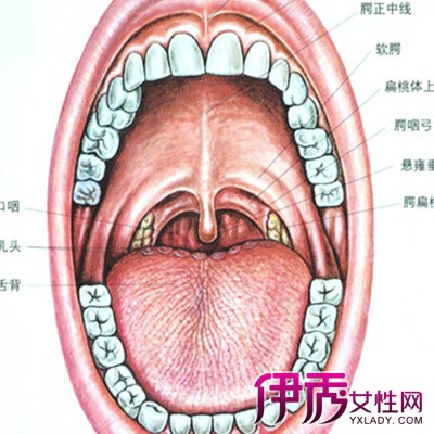 【图】怎么治疗扁桃体发炎呢 4个方法还你健康