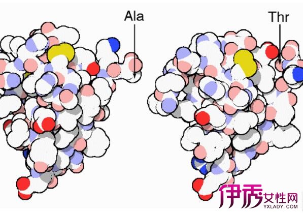 【圖】糖尿病早期可以治癒嗎 2大治療方法還你健康身體