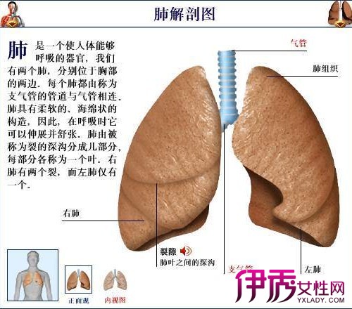 【圖】你知道先天性肺炎能治好嗎 你是否真正瞭解過它