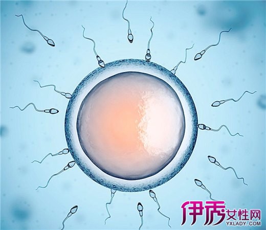 【精子一般能活多久】【图】精子一般能活多久