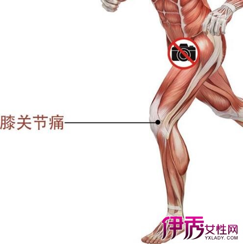 【治疗膝关节滑膜炎的偏方】【图】治疗膝关节