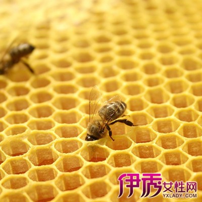 【图】吃蜂胶有什么副作用吗 蜂胶的功效作用