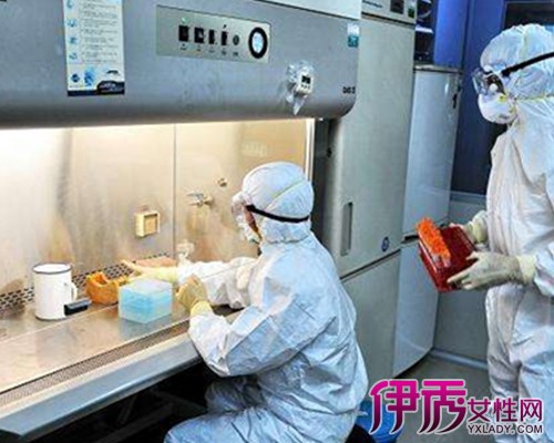 【h1n1流感】【图】甲型h1n1流感 详述其疾病