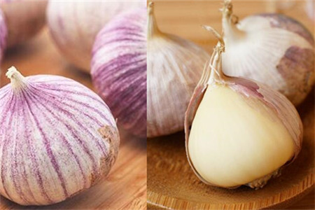 【图】紫皮独头大蒜的功效   有什么食用禁忌吗