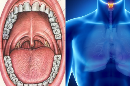 【图】正常的喉咙是什么颜色的 几招教你轻松恢复健康