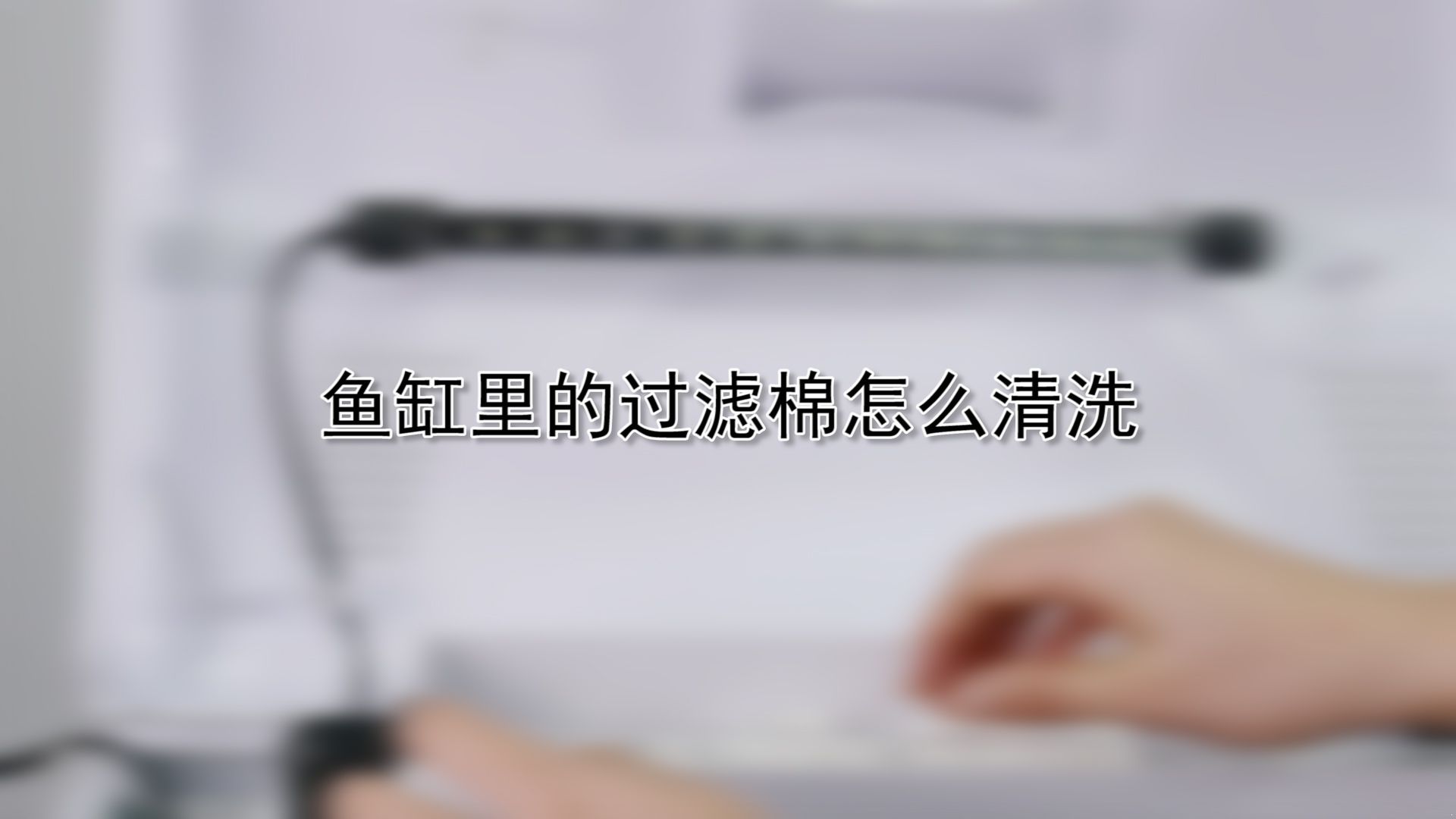 鱼缸里的过滤棉怎么清洗|鱼缸里的过滤棉怎么清洗|鱼缸|过滤|