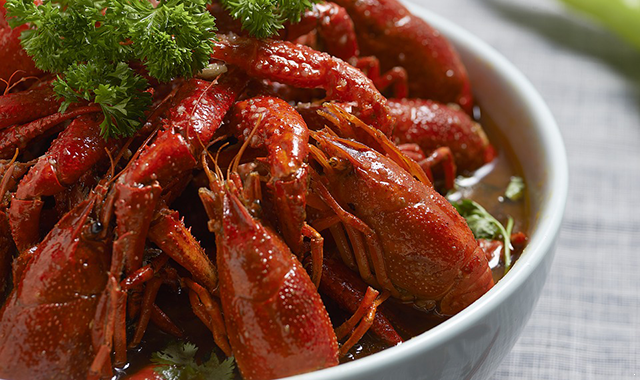 crayfish-1504081_960_720.png