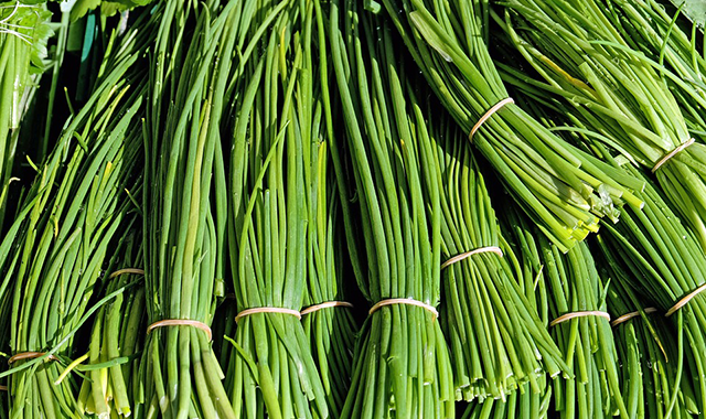 chives-1287096_960_720.png