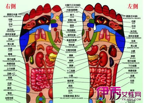 【圖】足底按摩穴位圖 足底按摩操作手法